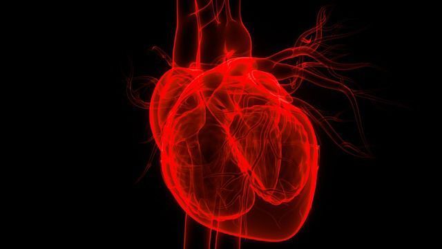 A "One-and-Done" Treatment To Protect Against Heart Disease? content piece image 