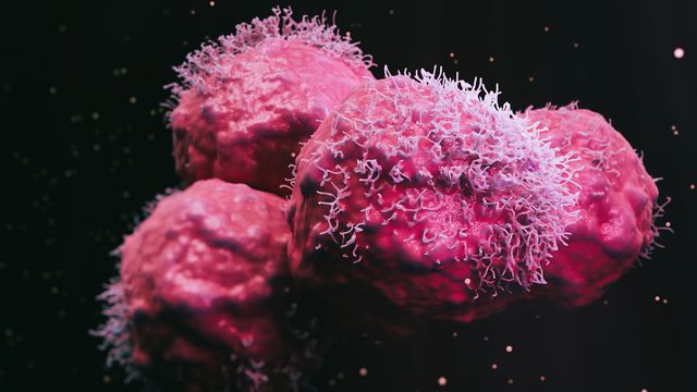 Cancer cells. 