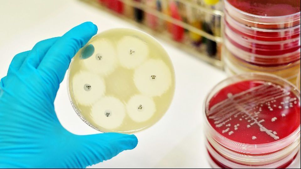 Antimicrobial Resistance content piece image