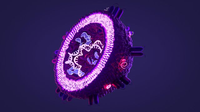 Inside of an extracellular vesicle.  