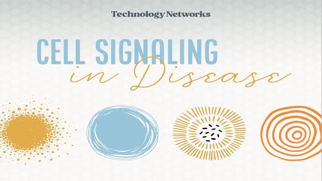 Cell Signaling in Disease 