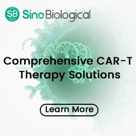 Comprehensive CAR-T Therapy Solutions 