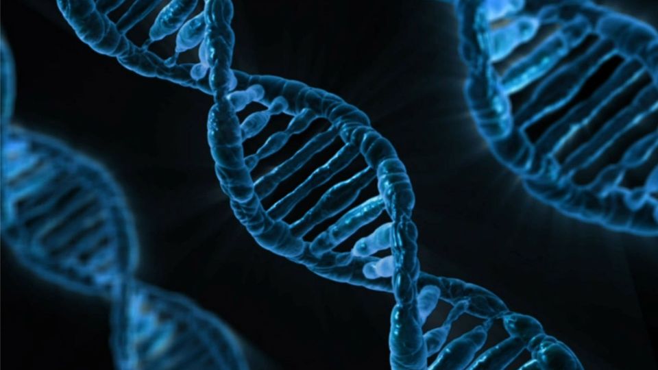 A strand of DNA shown in blue.