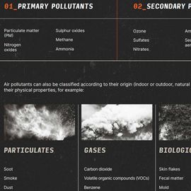 Environmental Pollutants: Air 
