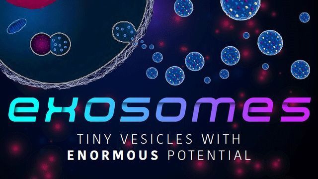 Exosomes: Tiny Vesicles With Enormous Potential  content piece image 