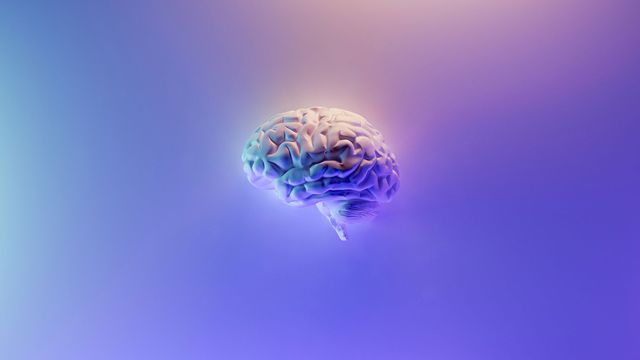 A 3D rendering of a brain on a purple background. 