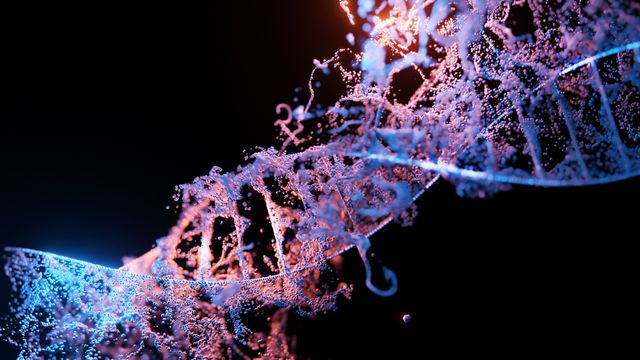 A picture of a DNA helix.  
