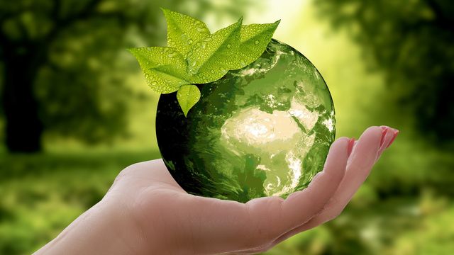 Human hand holding a green Earth surrounded by trees.  