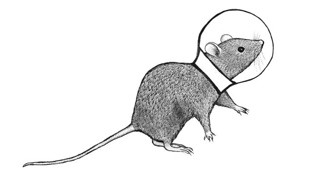 A black and white illustration of a mouse wearing a space helmet. 