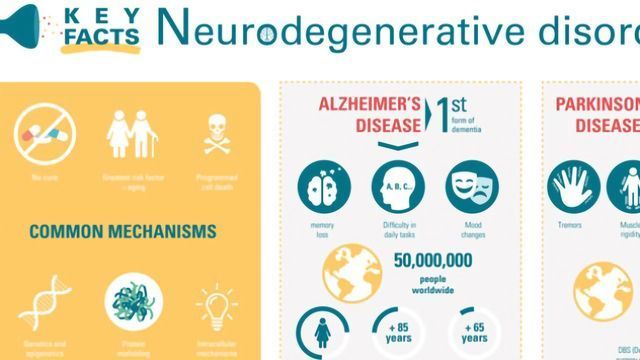 Neurodegenerative Diseases and Neuroinflammation Pathways content piece image 