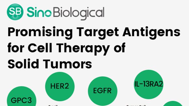 Promising Target Antigens for Cell Therapy of Solid Tumors content piece image 
