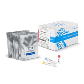 Seahorse XF MitoTox Assay Kit, mitochondrial toxicity, drug discovery, toxicity assessment, toxicology research, drug safety 