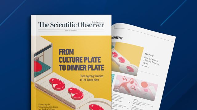 The Scientific Observer Issue 16 content piece image 