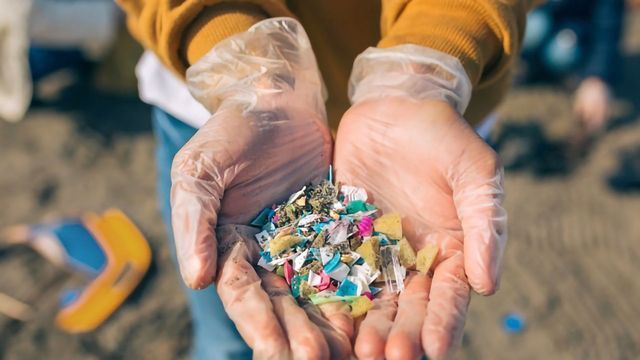 Unraveling the Macro Problem of Microplastics content piece image 