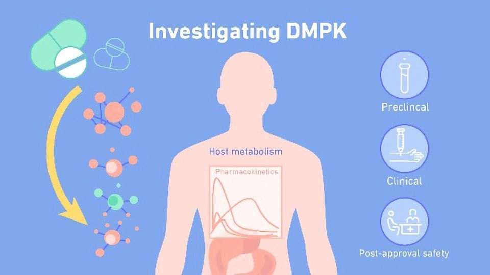 What Is DMPK (Drug Metabolism and Pharmacokinetics)? content piece image