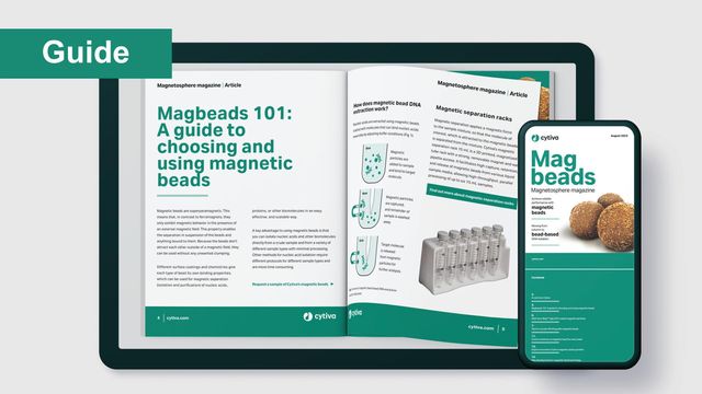 guide to magnetic beads 