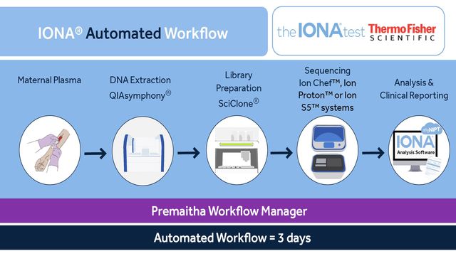 The IONA workflow. 