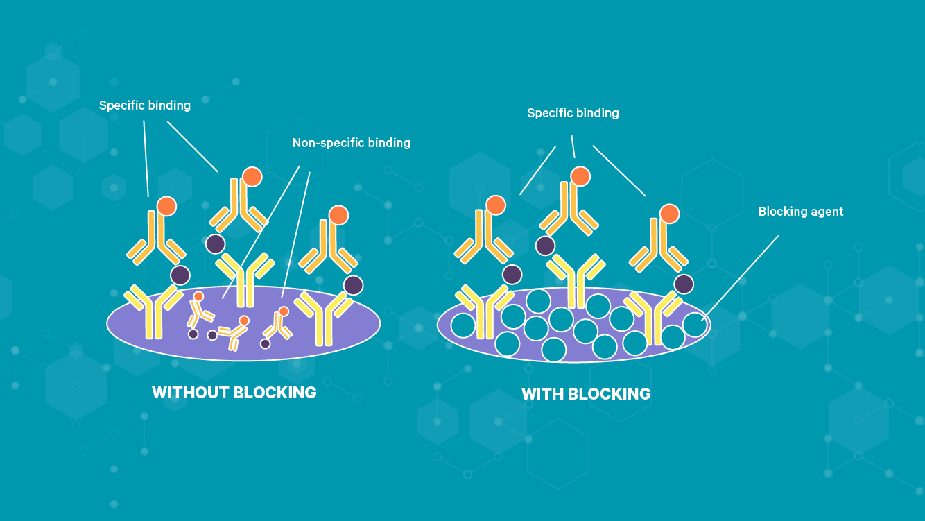 How the blocking process prevents non-specific binding.