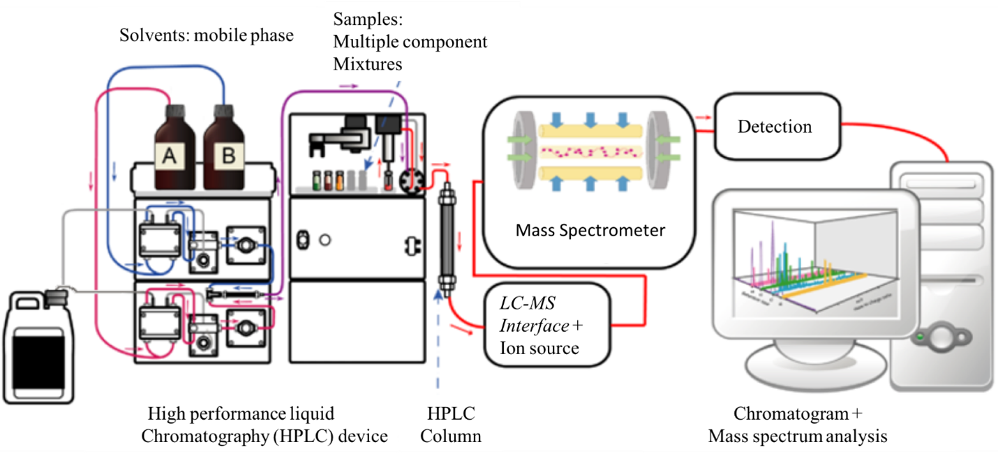 Example schematic diagram of an LC-MS setup showing the mobile phase and analyte's paths from introduction into the system, through mixing, separation and MS analysis to detection.