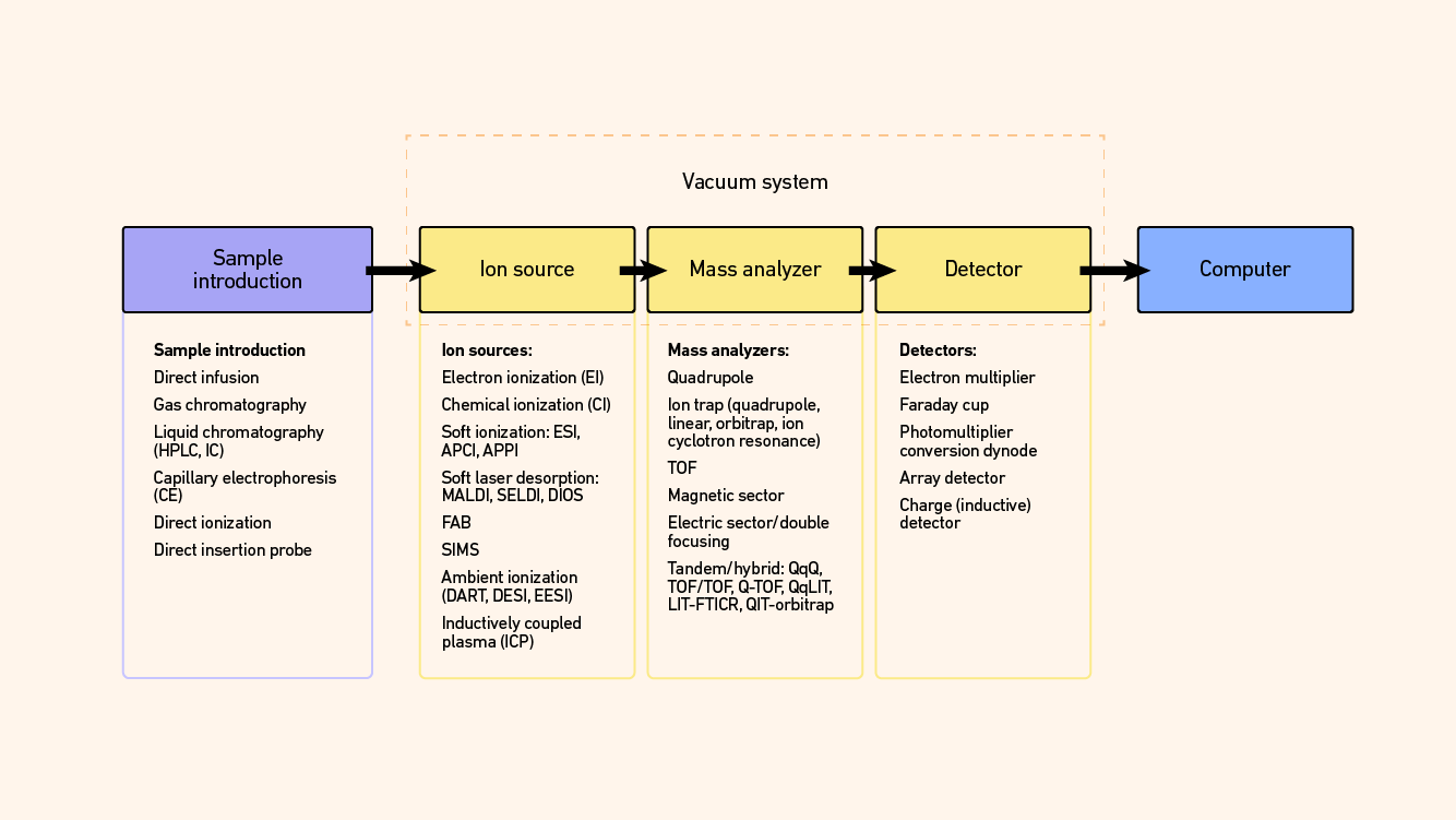 Flow diagram outlining the main steps of MS and common variants available at each step.
